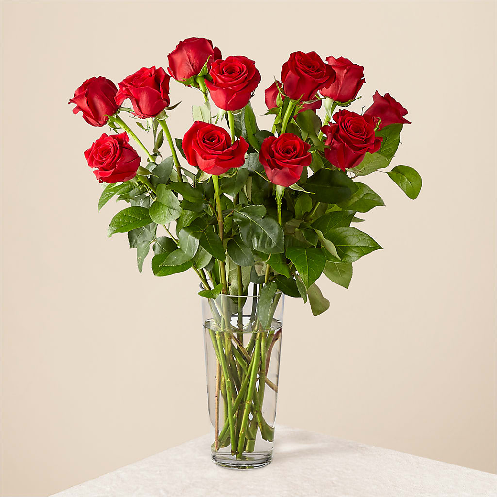 Long Stem Red Rose Bouquet – Naugatuck Florist, Naugatuck CT