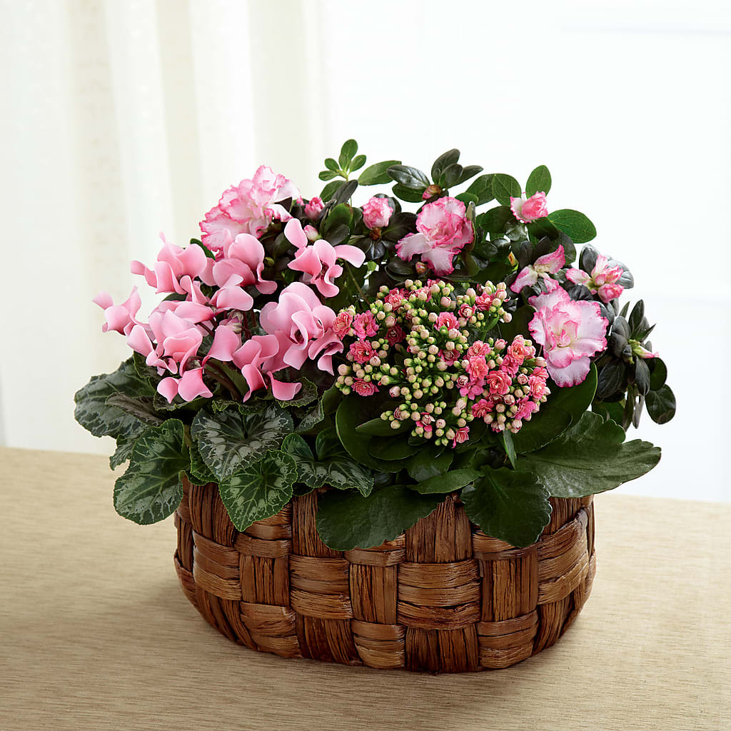 Pink Assortment – Naugatuck Florist, Naugatuck CT