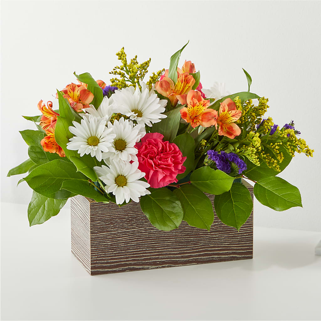 Oopsie Daisy Box Bouquet – Naugatuck Florist, Naugatuck CT