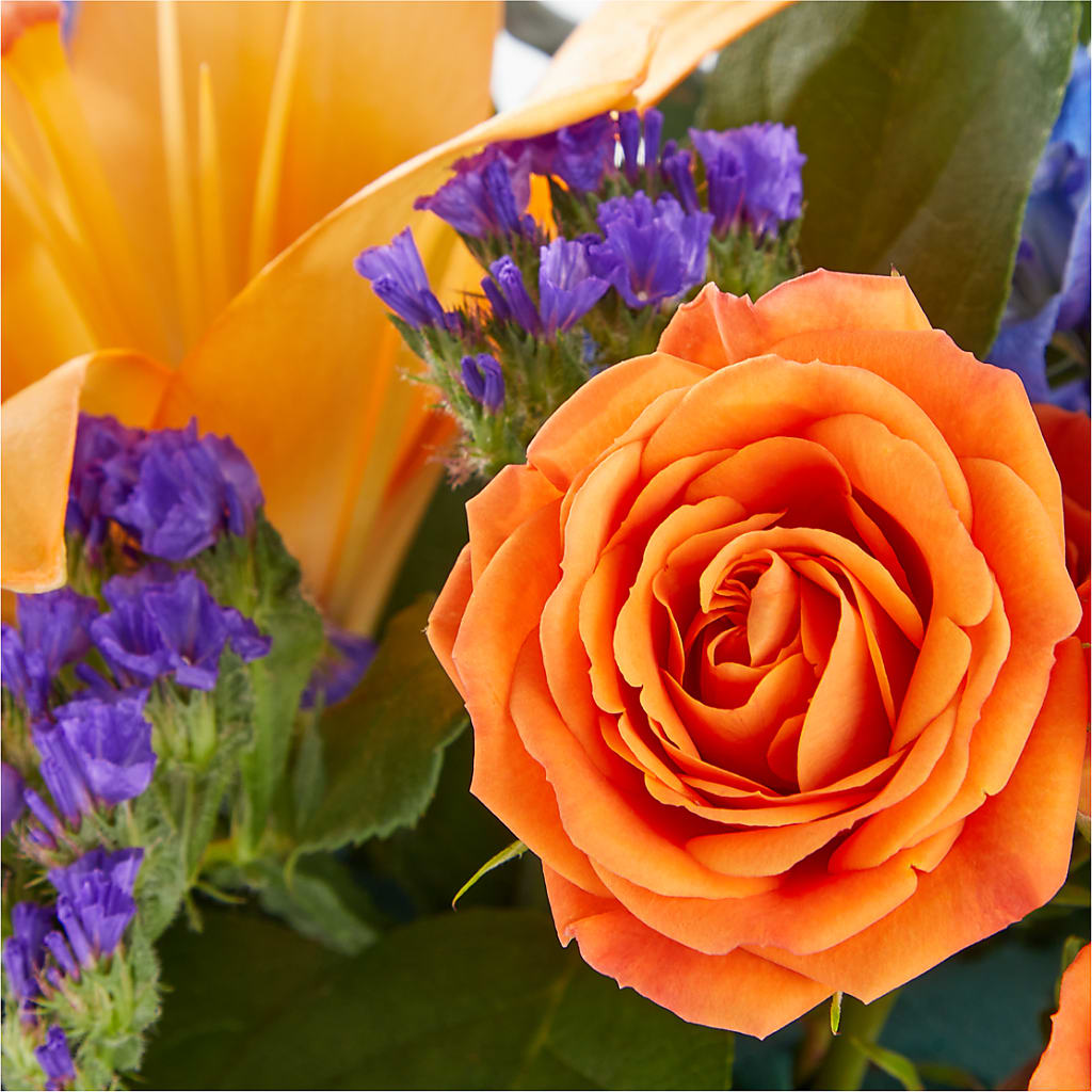 Radiant Citrus Box Bouquet – Naugatuck Florist, Naugatuck CT