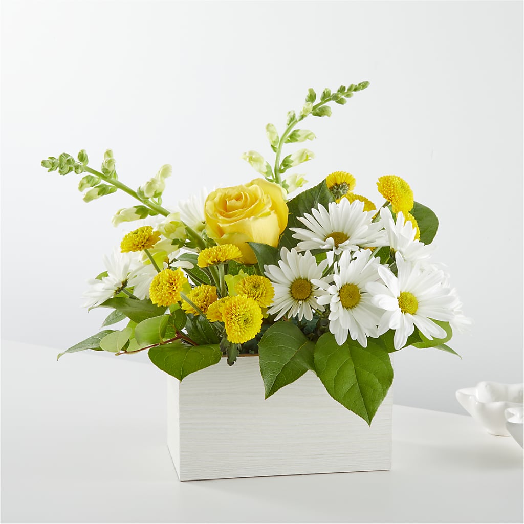 Sun Salutation Box Bouquet – Naugatuck Florist, Naugatuck CT