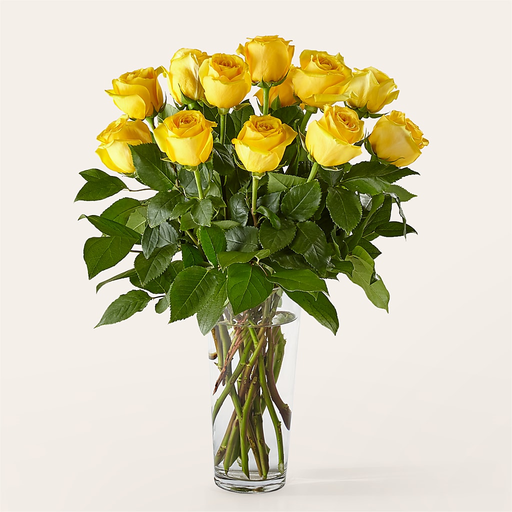 Long Stem Yellow Rose Bouquet – Naugatuck Florist, Naugatuck CT