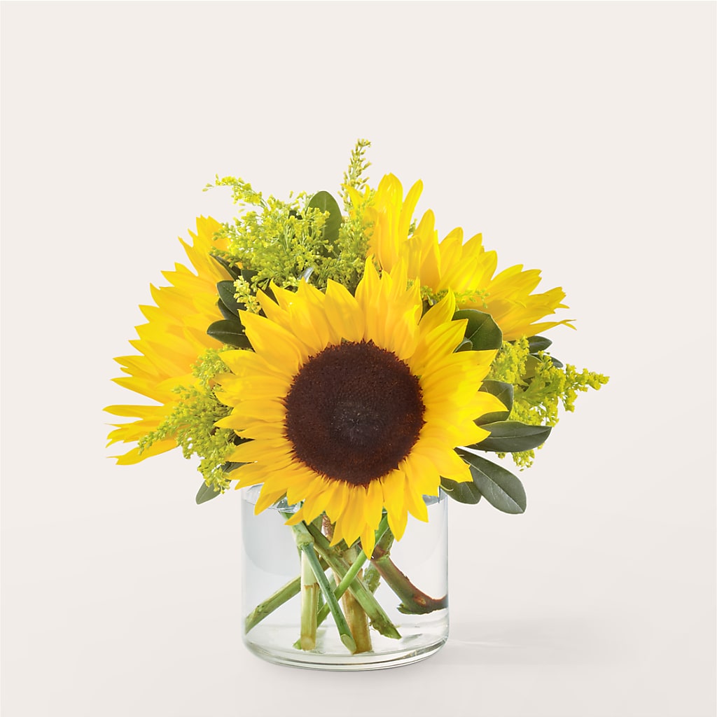 Beaming Sunflower Bouquet – Naugatuck Florist, Naugatuck CT