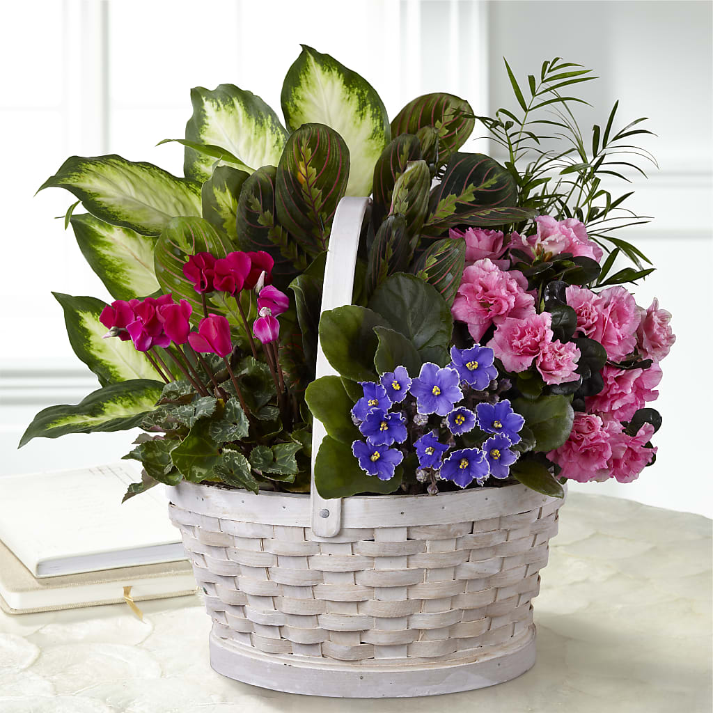 Peaceful Garden Planter – Naugatuck Florist, Naugatuck CT