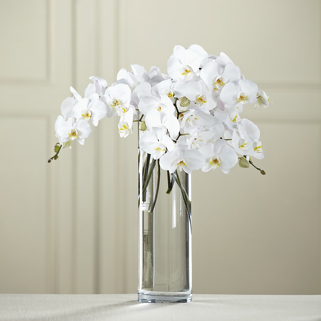 White Phalaenopsis Bouquet – Naugatuck Florist, Naugatuck CT
