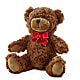 Adorable Plush Bear –  Naugatuck Florist, Naugatuck CT