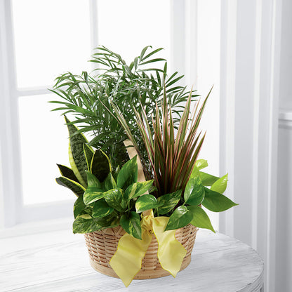French Garden –  Naugatuck Florist, Naugatuck CT