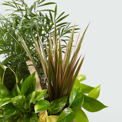 French Garden –  Naugatuck Florist, Naugatuck CT