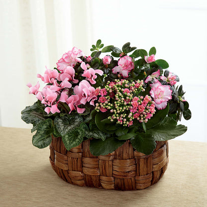 Pink Assortment –  Naugatuck Florist, Naugatuck CT