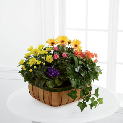 Gentle Blossoms Basket –  Naugatuck Florist, Naugatuck CT