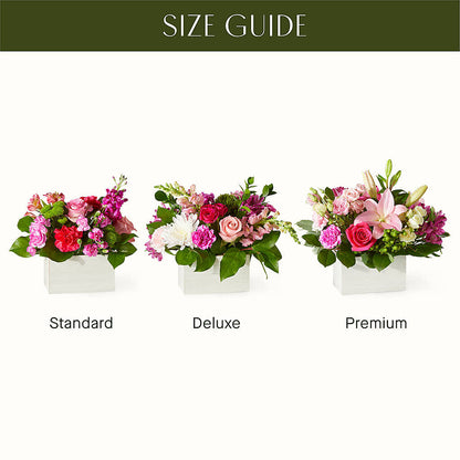 Sweetberry Box – A Florist Original –  Naugatuck Florist, Naugatuck CT