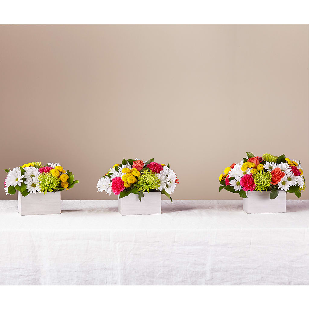 Sorbet Bouquet –  Naugatuck Florist, Naugatuck CT