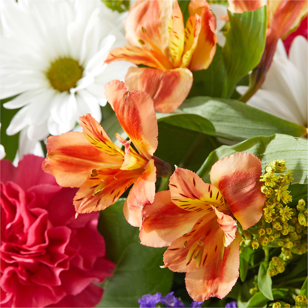 Oopsie Daisy Box Bouquet –  Naugatuck Florist, Naugatuck CT