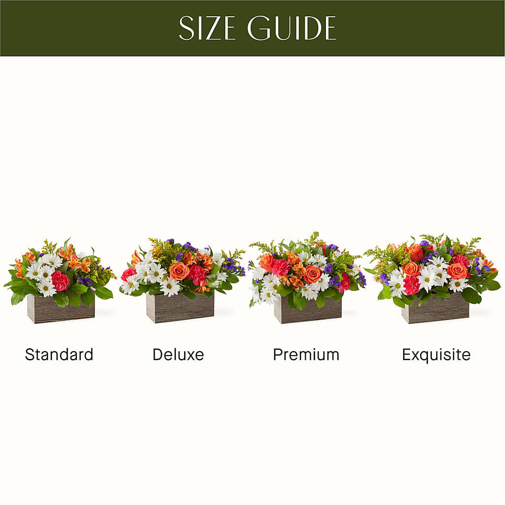 Oopsie Daisy Box Bouquet –  Naugatuck Florist, Naugatuck CT