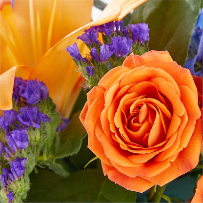 Radiant Citrus Box Bouquet –  Naugatuck Florist, Naugatuck CT