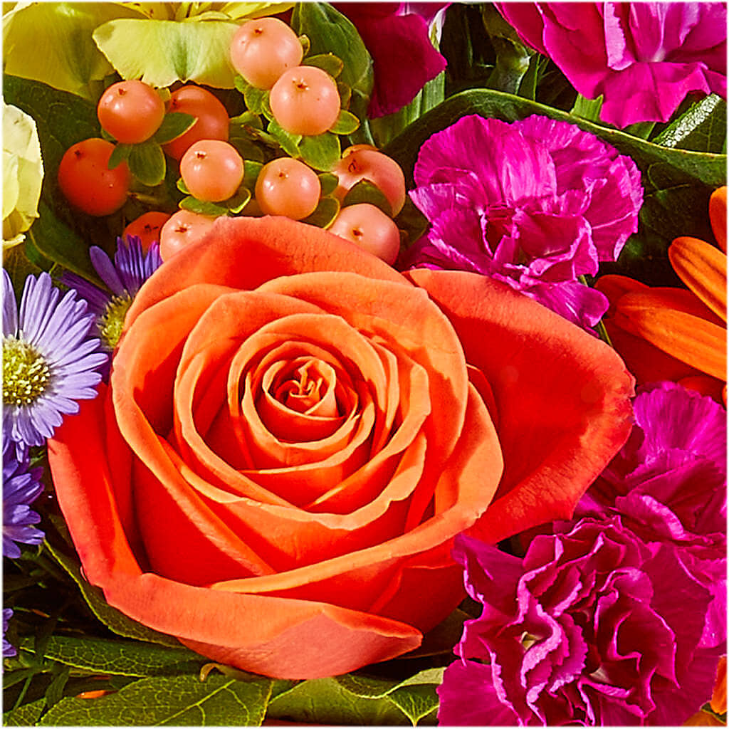 Tricks & Treats Pumpkin –  Naugatuck Florist, Naugatuck CT