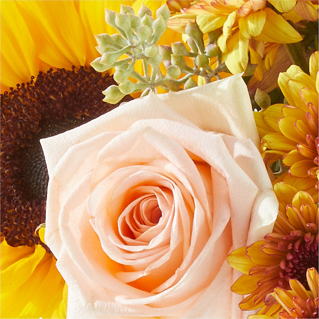 Pumpkin to Talk About Bouquet –  Naugatuck Florist, Naugatuck CT
