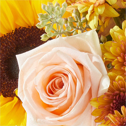 Pumpkin to Talk About Bouquet –  Naugatuck Florist, Naugatuck CT