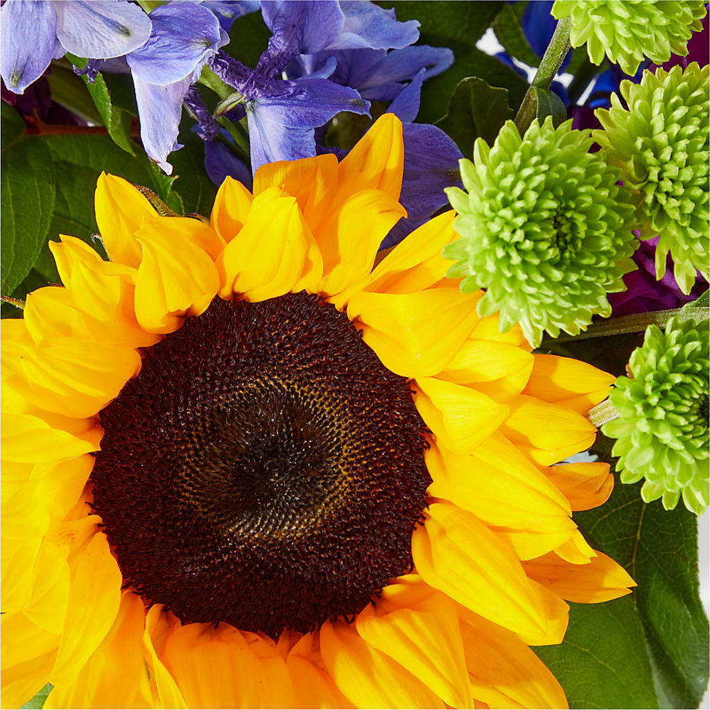 Catching Rays Bouquet –  Naugatuck Florist, Naugatuck CT