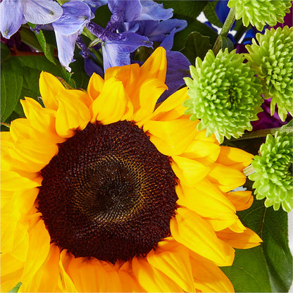 Catching Rays Bouquet –  Naugatuck Florist, Naugatuck CT
