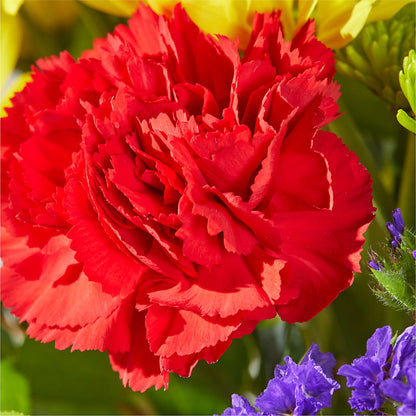 Brighter Days Bouquet –  Naugatuck Florist, Naugatuck CT