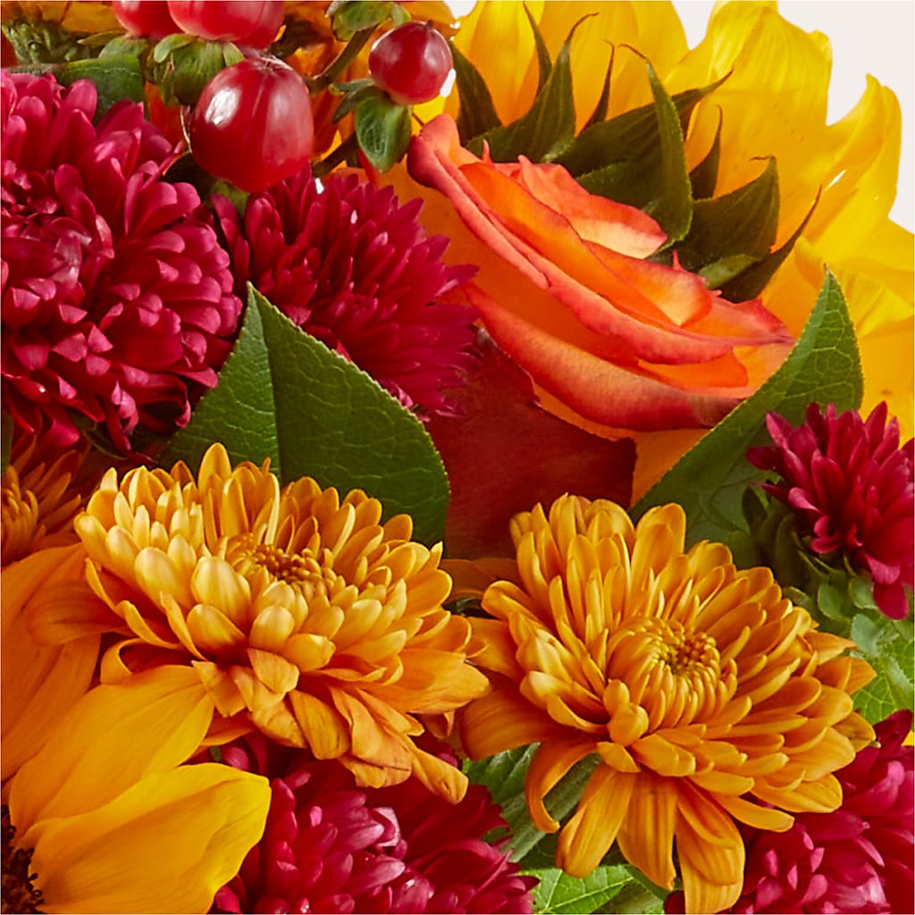 Sweater Season - A Florist Original –  Naugatuck Florist, Naugatuck CT