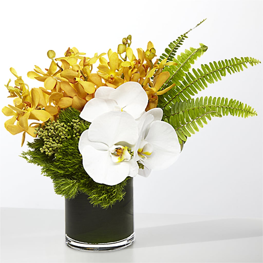 The Tropics –  Naugatuck Florist, Naugatuck CT