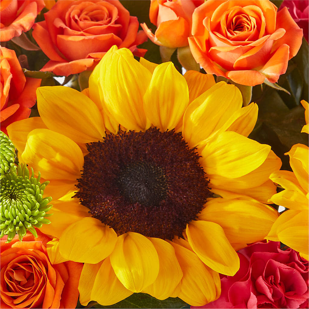 Sun-drenched Blooms Box Bouquet –  Naugatuck Florist, Naugatuck CT