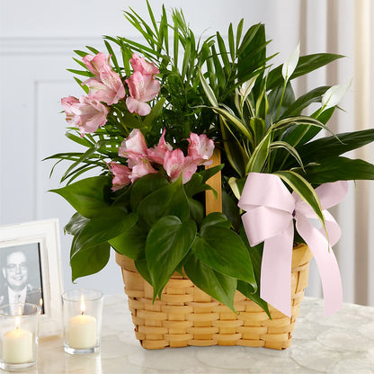 Living Spirit Dishgarden –  Naugatuck Florist, Naugatuck CT