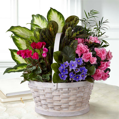 Peaceful Garden Planter –  Naugatuck Florist, Naugatuck CT