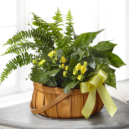 Always Dear Dishgarden –  Naugatuck Florist, Naugatuck CT