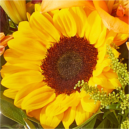 Seasons Change Bouquet –  Naugatuck Florist, Naugatuck CT