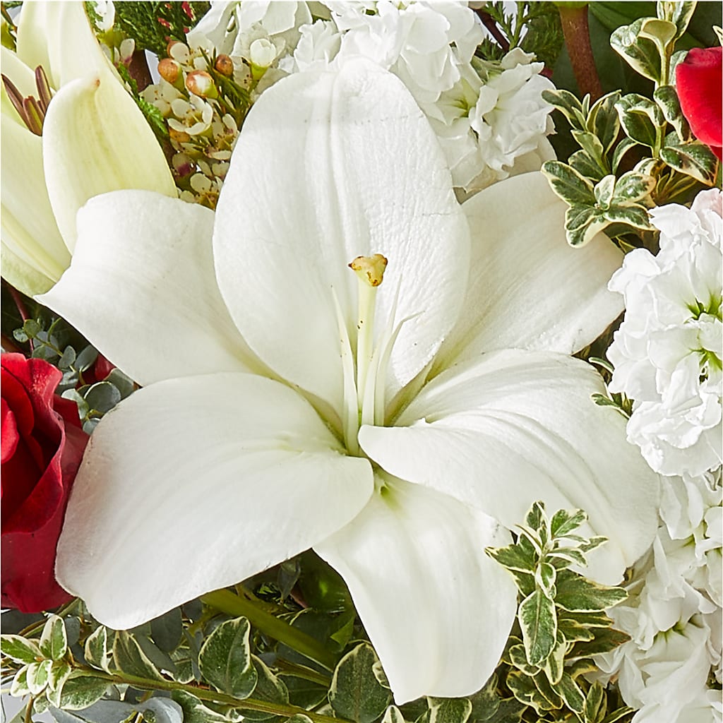 Twinkle Lights Bouquet –  Naugatuck Florist, Naugatuck CT