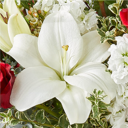 Twinkle Lights Bouquet –  Naugatuck Florist, Naugatuck CT