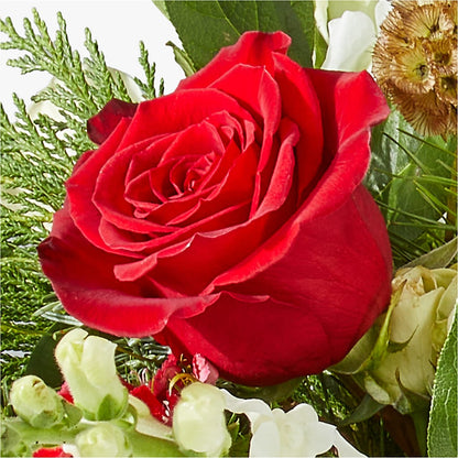 Deck the Halls Bouquet –  Naugatuck Florist, Naugatuck CT