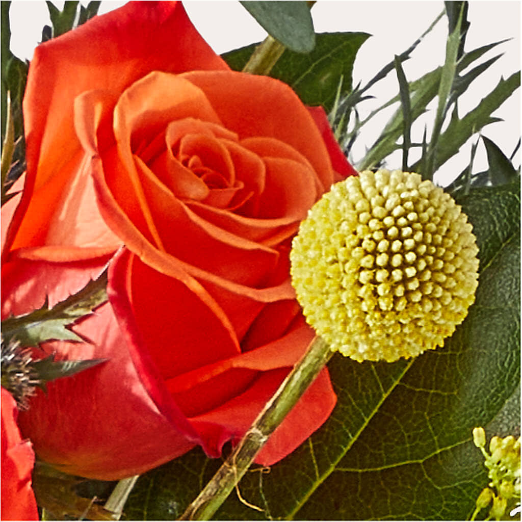 Disco Bouquet –  Naugatuck Florist, Naugatuck CT