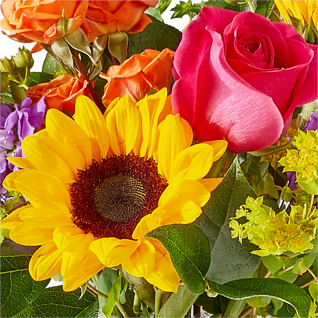 Vibrant Greetings Bouquet –  Naugatuck Florist, Naugatuck CT