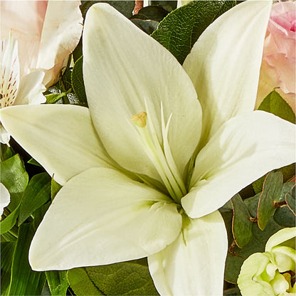 Ballet Slippers Bouquet –  Naugatuck Florist, Naugatuck CT