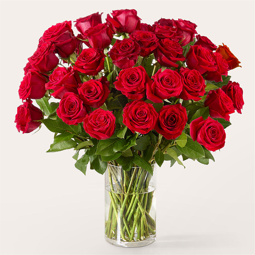 The One Red Rose Bouquet –  Naugatuck Florist, Naugatuck CT