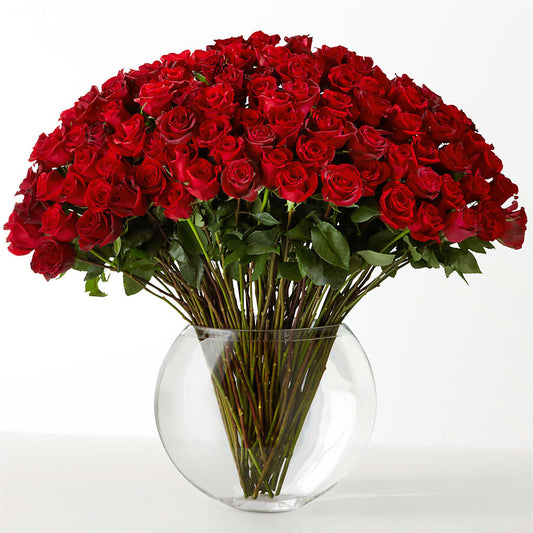 The Idealist –  Naugatuck Florist, Naugatuck CT