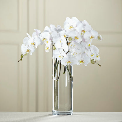 White Phalaenopsis Bouquet –  Naugatuck Florist, Naugatuck CT